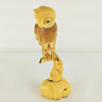 tecolote - tagua marfil vegetal