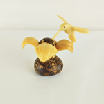 Colibri - tagua marfil vegetal