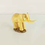 elefante colmillo - Tagua marfil vegetal